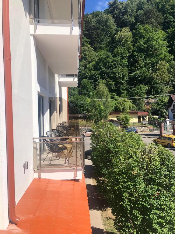 Sub Cetate Otel Rîşnov Dış mekan fotoğraf